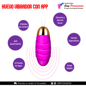 huevo vibrador recargable app caracteristicas