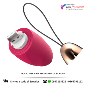 huevo vibrador recargable descripcion