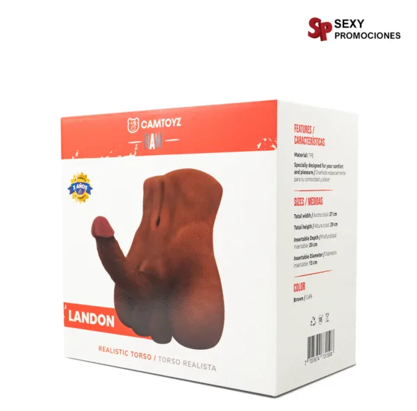 Torso Landon - Imagen 3