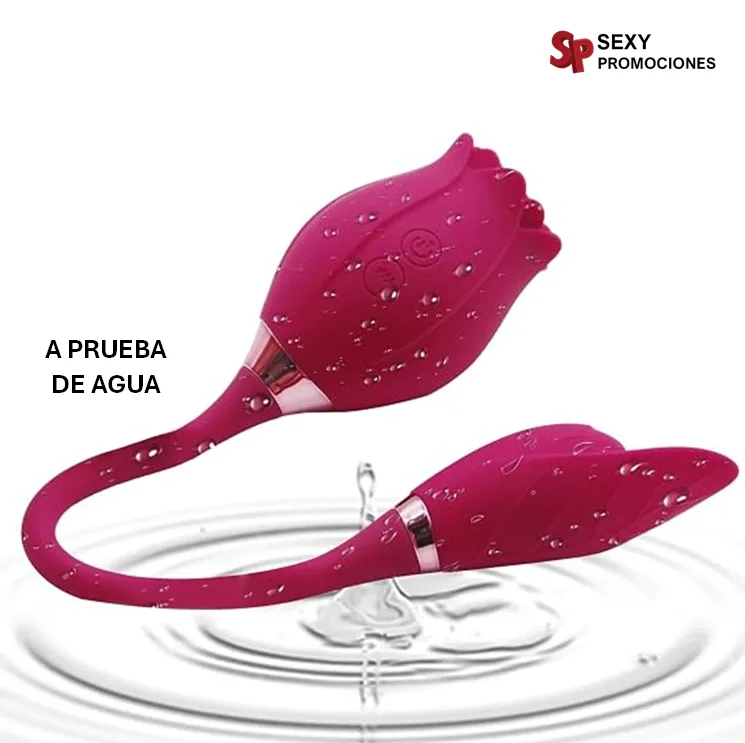 Rosa Succionadora Coqueta - Imagen 4